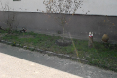 DSCN1206